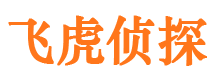 丰宁市侦探调查公司